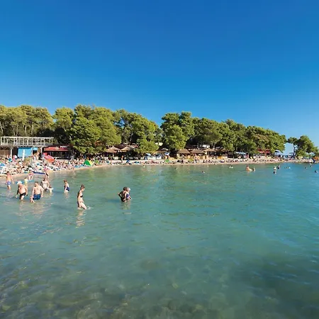 Bribirskih Knezova Ii Pakoštane