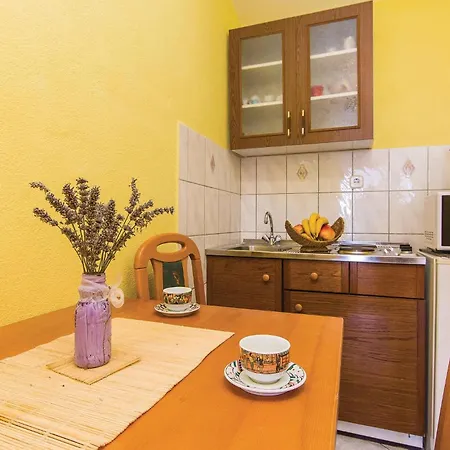 Bribirskih Knezova Ii Daire *